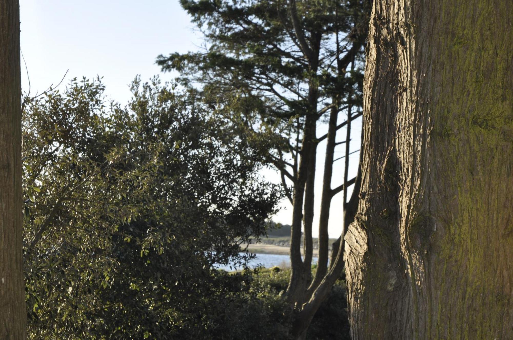 Panorama Vue Mer Quiberon Ngoại thất bức ảnh