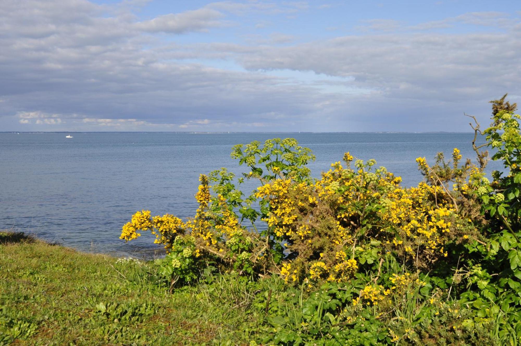Panorama Vue Mer Quiberon Phòng bức ảnh